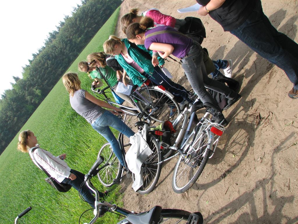 IMG_5988 (Large).jpg